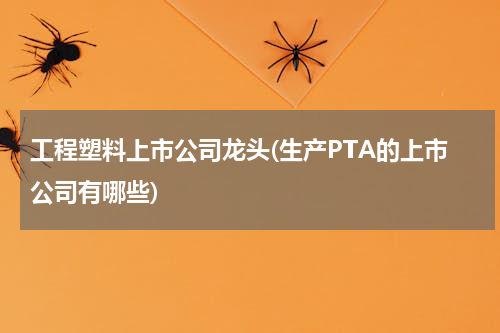 工程塑料上市公司龙头(生产PTA的上市公司有哪些)