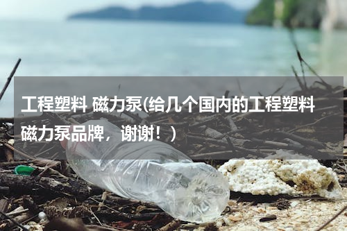 工程塑料 磁力泵(给几个国内的工程塑料磁力泵品牌，谢谢！)