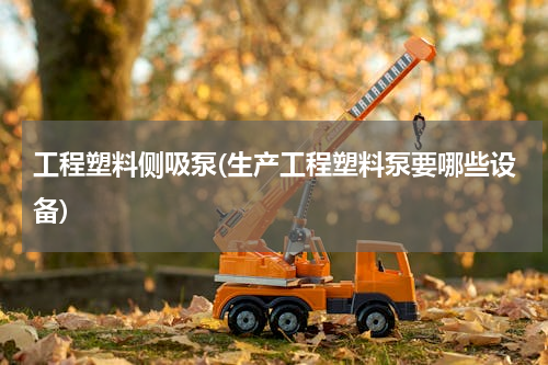 工程塑料侧吸泵(生产工程塑料泵要哪些设备)