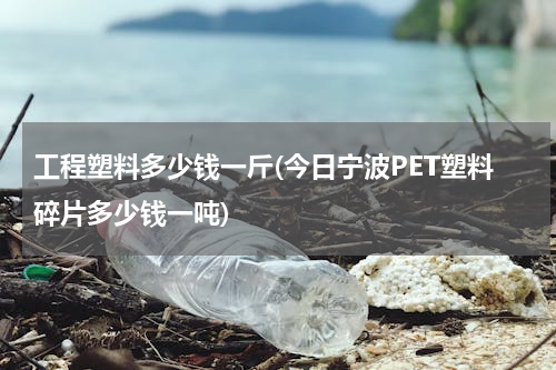 工程塑料多少钱一斤(今日宁波PET塑料碎片多少钱一吨)