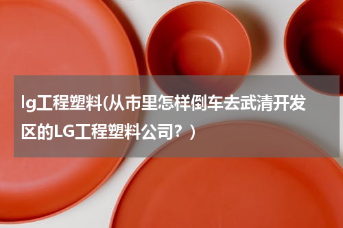 lg工程塑料(从市里怎样倒车去武清开发区的LG工程塑料公司？)