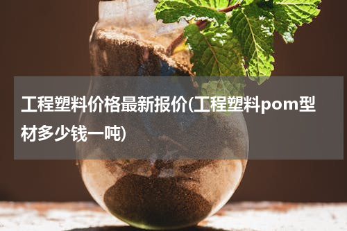 工程塑料价格最新报价(工程塑料pom型材多少钱一吨)