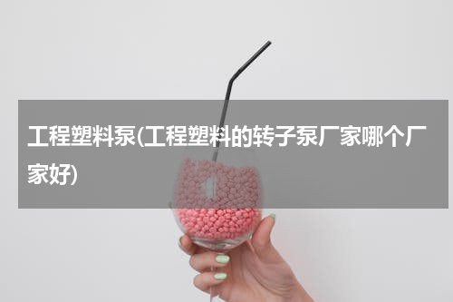 工程塑料泵(工程塑料的转子泵厂家哪个厂家好)