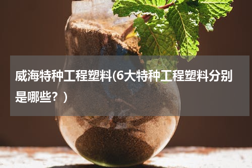 威海特种工程塑料(6大特种工程塑料分别是哪些？)