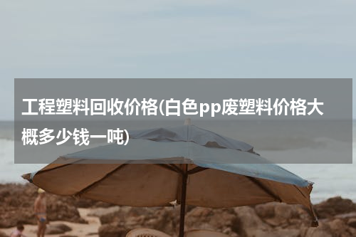 工程塑料回收价格(白色pp废塑料价格大概多少钱一吨)