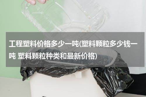 工程塑料价格多少一吨(塑料颗粒多少钱一吨 塑料颗粒种类和最新价格)