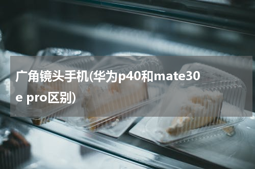 广角镜头手机(华为p40和mate30e pro区别)