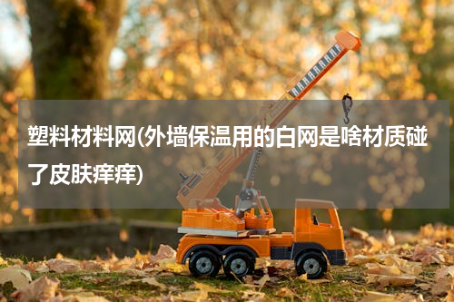 塑料材料网(外墙保温用的白网是啥材质碰了皮肤痒痒)