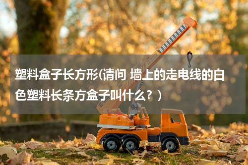 塑料盒子长方形(请问 墙上的走电线的白色塑料长条方盒子叫什么？)