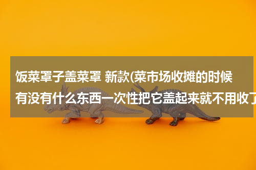 饭菜罩子盖菜罩 新款(菜市场收摊的时候有没有什么东西一次性把它盖起来就不用收了)