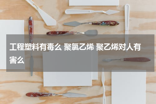 工程塑料有毒么 聚氯乙烯 聚乙烯对人有害么
