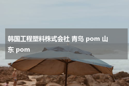 韩国工程塑料株式会社 青岛 pom 山东 pom
