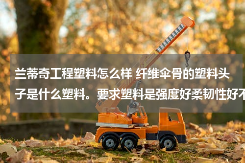 兰蒂奇工程塑料怎么样 纤维伞骨的塑料头子是什么塑料。要求塑料是强度好柔韧性好不易折断的