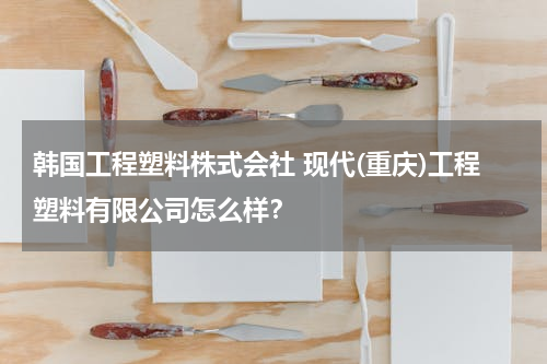 韩国工程塑料株式会社 现代(重庆)工程塑料有限公司怎么样？