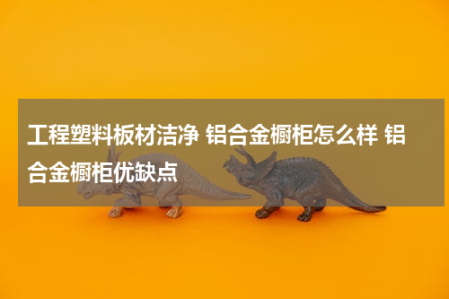 工程塑料板材洁净 铝合金橱柜怎么样 铝合金橱柜优缺点
