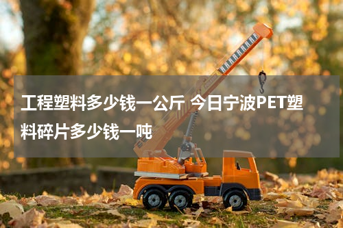 工程塑料多少钱一公斤 今日宁波PET塑料碎片多少钱一吨
