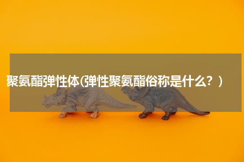 聚氨酯弹性体(弹性聚氨酯俗称是什么？)