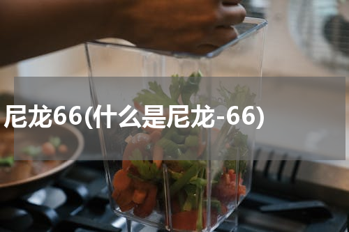 尼龙66(什么是尼龙-66)