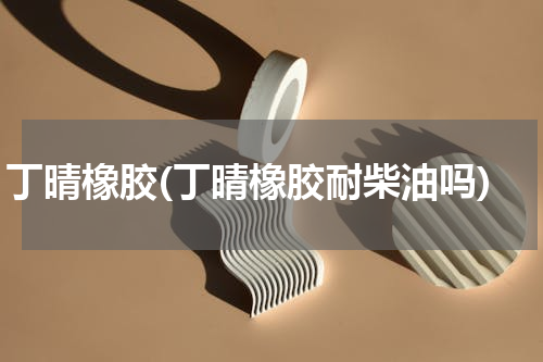 丁晴橡胶(丁晴橡胶耐柴油吗)