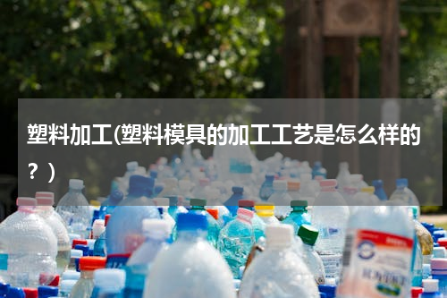 塑料加工(塑料模具的加工工艺是怎么样的？)