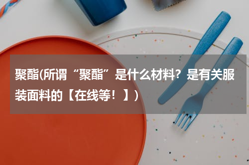 聚酯(所谓“聚酯”是什么材料？是有关服装面料的【在线等！】)