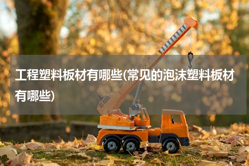 工程塑料板材有哪些(常见的泡沫塑料板材有哪些)
