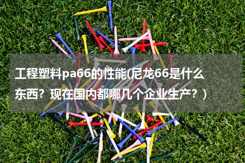 工程塑料pa66的性能(尼龙66是什么东西？现在国内都哪几个企业生产？)