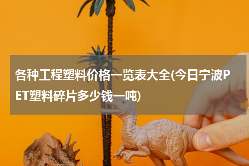 各种工程塑料价格一览表大全(今日宁波PET塑料碎片多少钱一吨)