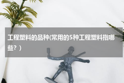 工程塑料的品种(常用的5种工程塑料指哪些？)
