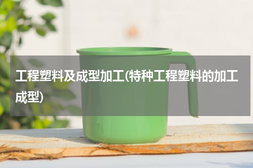 工程塑料及成型加工(特种工程塑料的加工成型)