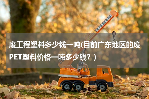 废工程塑料多少钱一吨(目前广东地区的废PET塑料价格一吨多少钱？)