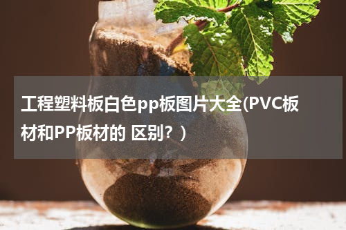 工程塑料板白色pp板图片大全(PVC板材和PP板材的 区别？)