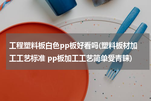 工程塑料板白色pp板好看吗(塑料板材加工工艺标准 pp板加工工艺简单受青睐)