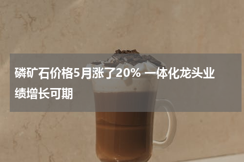 磷矿石价格5月涨了20% 一体化龙头业绩增长可期