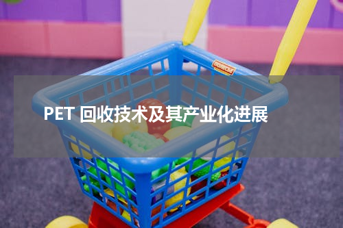 PET 回收技术及其产业化进展